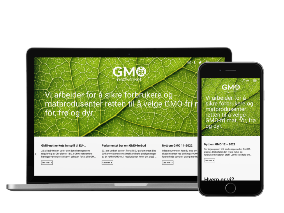 eksempel på nettside til kr 50 000 - 90 000