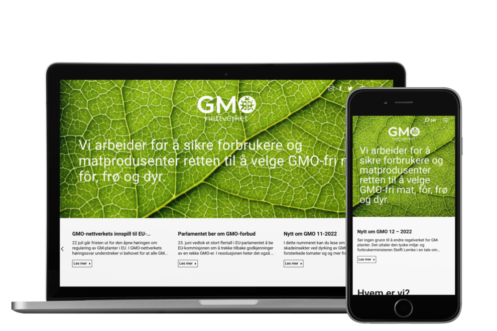 eksempel på nettside til kr 50 000 - 90 000